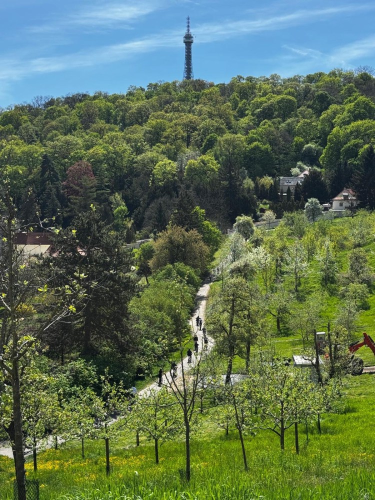 Path through green park with tower in the background on a clear day.
