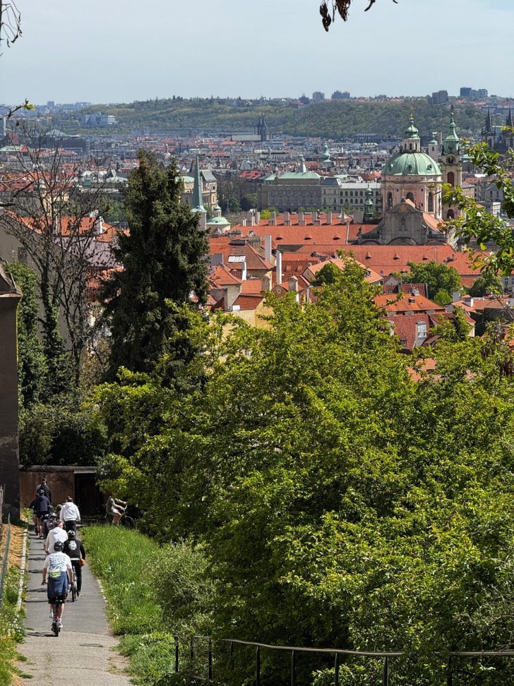 People walking down a path with a cityscape view in the background and green trees around.
